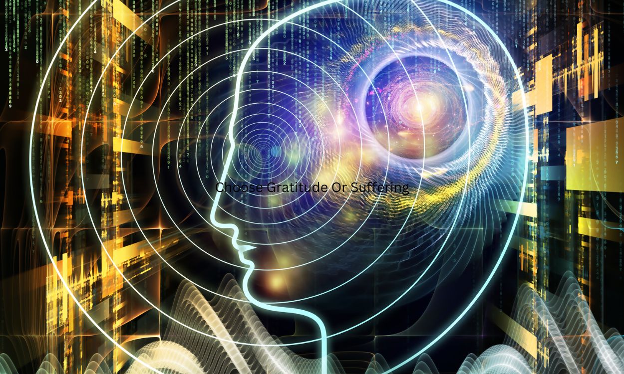 We Are Elevating Our Awareness And Consciousness We Are Elevating Our Awareness And Consciousness