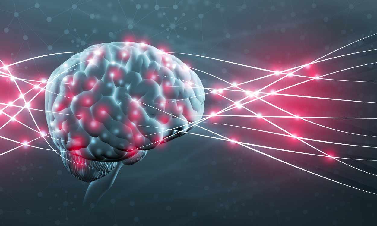 Habitual Brain Cells And Neural Activity Create Reality