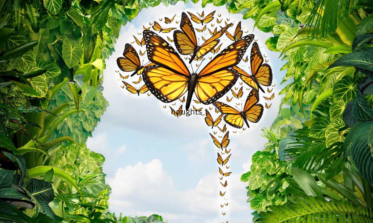 Our Perceptions Are Created By Our Thoughts Our Perceptions Are Created By Our Thoughts