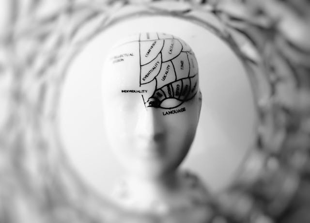 Black and white photo of a ceramic head model labeled with brain functions, viewed through a circular mirror frame — visualizing neural focus and imagination.