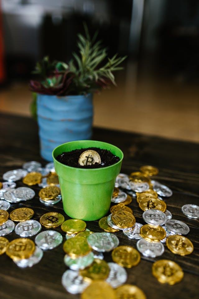 A green plant pot with a Bitcoin coin sprouting from soil, surrounded by gold and silver coins, symbolizing quantum jumping money and abundance.