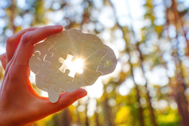 Hand holding a brain-shaped puzzle in bright sunlight — manifest dream life while you sleep clarity.