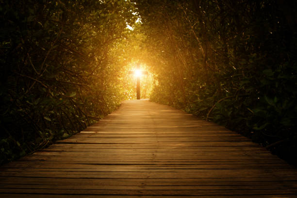 The Concept of the Way to the Cross of Christ Wooden pathway leading toward a bright light at the end of a forest tunnel.