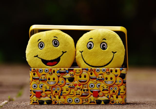 Positive Energy — What Is the Law of Vibration in Action Two yellow smiling plush faces sitting in a colorful emoji box, representing joy, laughter, and the uplifting energy of what is the law of vibration.