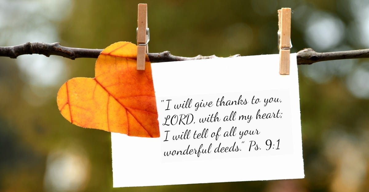 Bible verse about gratitude clipped to a branch with a heart-shaped leaf, reflecting faith and is manifestation biblical concept